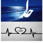 متنی بنویسید و بند مقدمه، بند بدنه، بند جمع بندی را در آن مشخص کنید.