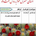 انشای درس چهارم نگارش یازدهم انشای گفت وگو _ انشای صفحه 82 نگارش یازدهم