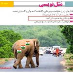 انشا و گسترش ضرب المثل باز فیلش یاد هندوستان کرد
